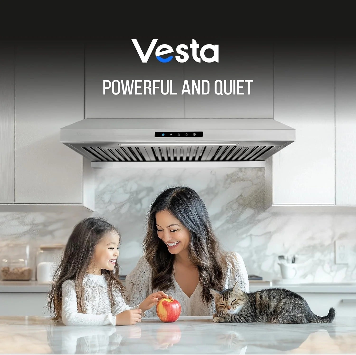 Arlington 30 inch | Silver | 850 CFM Under-Cabinet Range Hood