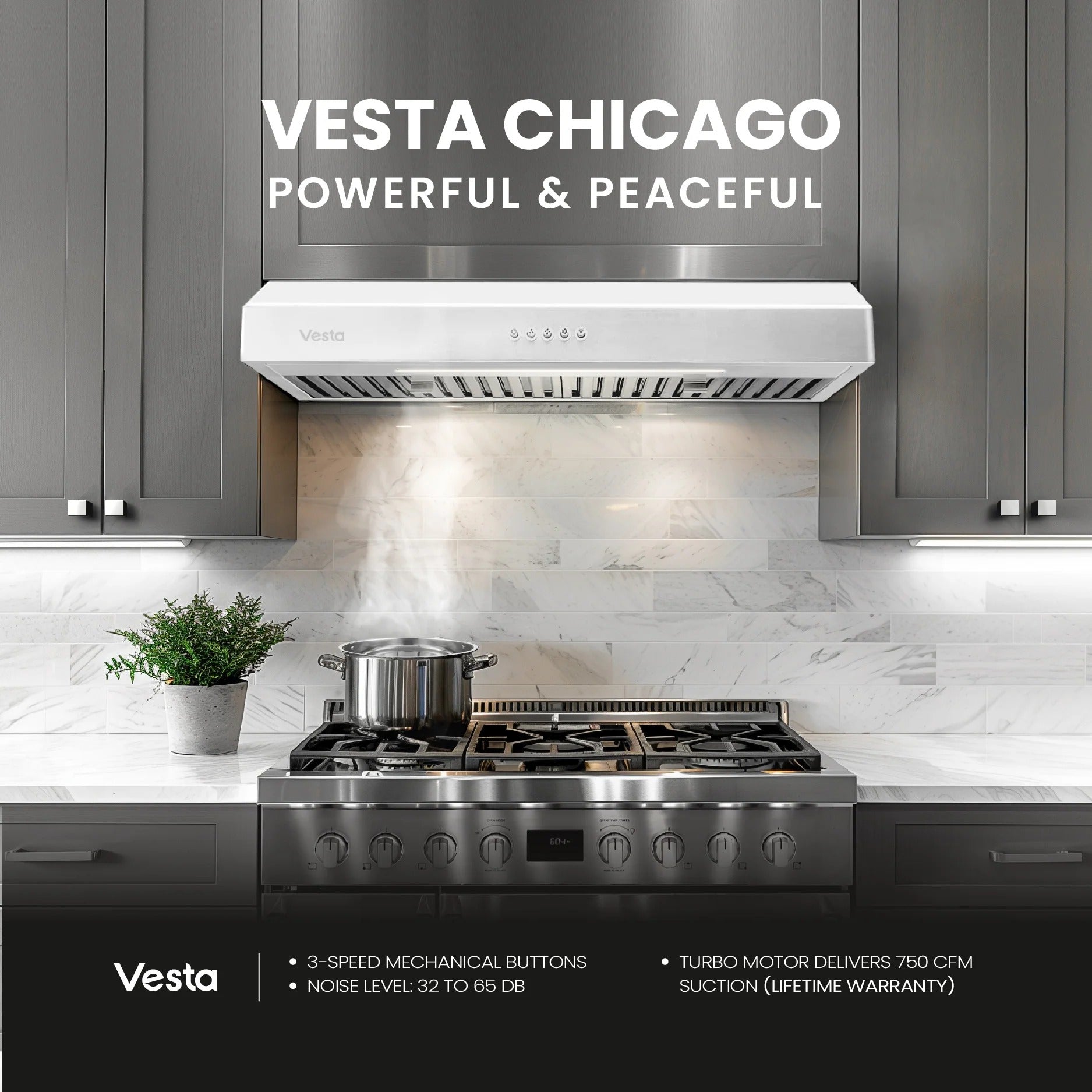 Chicago 24 inch  | Silver | 750 CFM Under-Cabinet Range Hood
