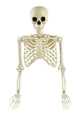 Halloween Half Skeleton Decoration 85cm with Moveable Parts