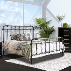 RIANA Antique Black Metal E.King, Full, Queen, & Twin Bed