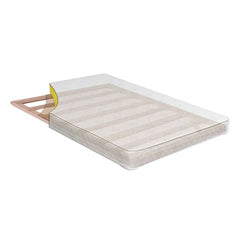Daisy White Bunkie Board Combo Mattress