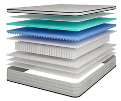 Salvia 12"Hybrid Pocket Coil Mattress